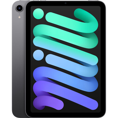 2021 Apple iPad Mini (Wi-Fi, 256GB)