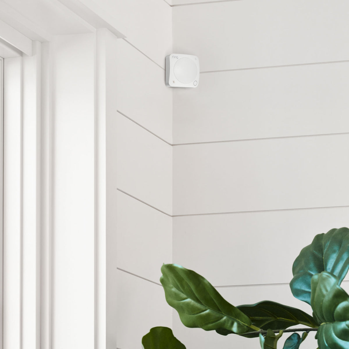 Ring Motion Detector Smart Motion Sensor on Amazon Sidewalk
