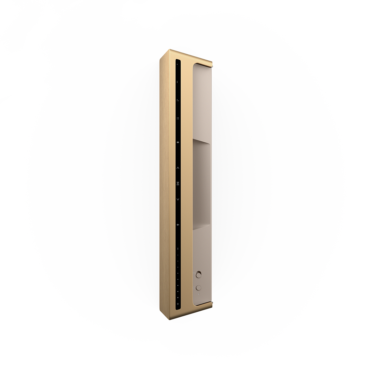 Bang & Olufsen Beosound Level Portable Wi-Fi Multiroom Speaker - Gold Tone/Light Oak