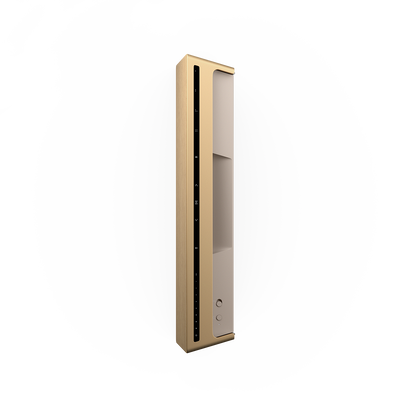 Bang & Olufsen Beosound Level Portable Wi-Fi Multiroom Speaker - Gold Tone/Light Oak