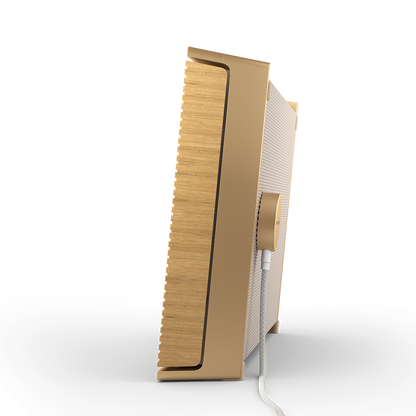Bang & Olufsen Beosound Level Portable Wi-Fi Multiroom Speaker - Gold Tone/Light Oak