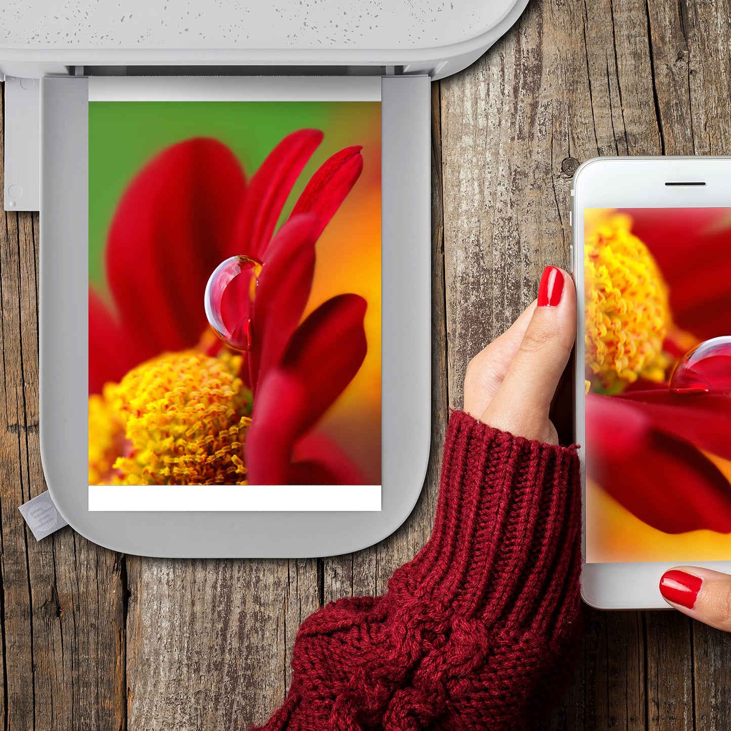 HP Sprocket Studio Plus 4 x 6” Photo Paper and Cartridges (Includes 108 Sheets and 2 Cartridges) - Compatible only with HP Sprocket Studio Plus Printer