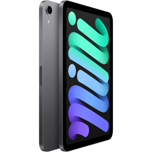 2021 Apple iPad Mini (Wi-Fi, 256GB) - Space Gray