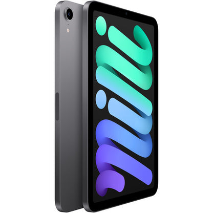2021 Apple iPad Mini (Wi-Fi, 256GB) - Space Gray