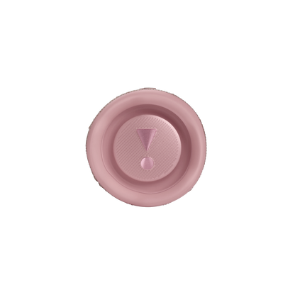JBL Flip 6 Portable Waterproof Bluetooth Speaker - Pink
