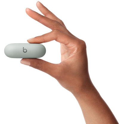 Beats Solo Buds True Wireless Earbuds - Storm Gray