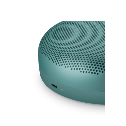 Bang & Olufsen Beosound A1 3rd Gen Waterproof Portable Bluetooth Speaker - Eucalyptus Green