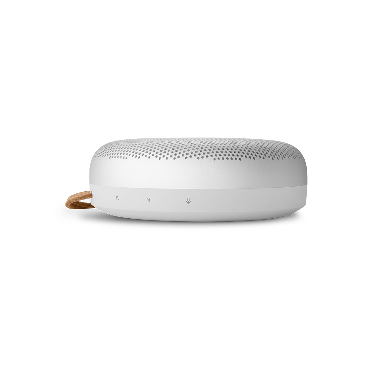 Bang & Olufsen Beosound A1 3rd Gen Waterproof Portable Bluetooth Speaker - Natural Aluminum