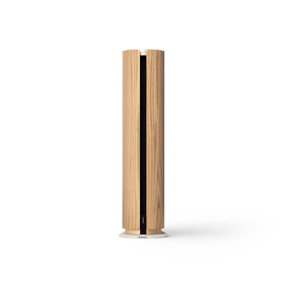 Bang & Olufsen Beosound Emerge Compact Wi-Fi Bookshelf Speaker - Gold Tone/Light Oak