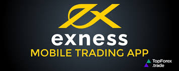 Understanding the Power of Analytics Exness for Better Trading Decisions